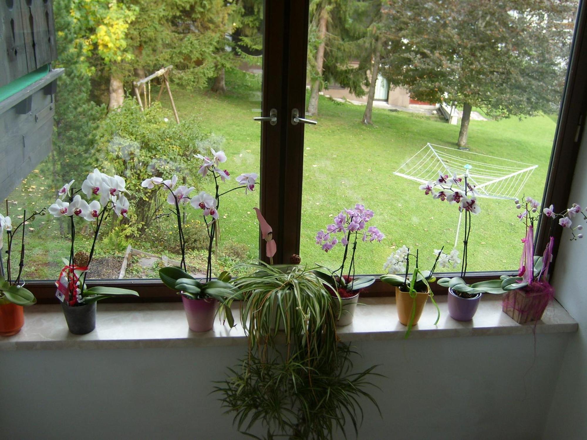Appartements Birkenhof Берванг Экстерьер фото